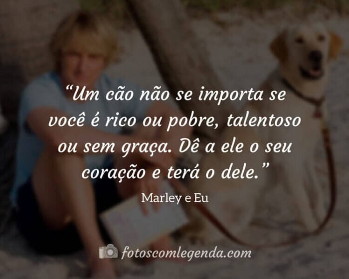 Frases do Filme Marley e Eu: Um cão não se importa se você é rico ou pobre, talentoso ou sem graça. Dê a ele o seu coração e terá o dele.