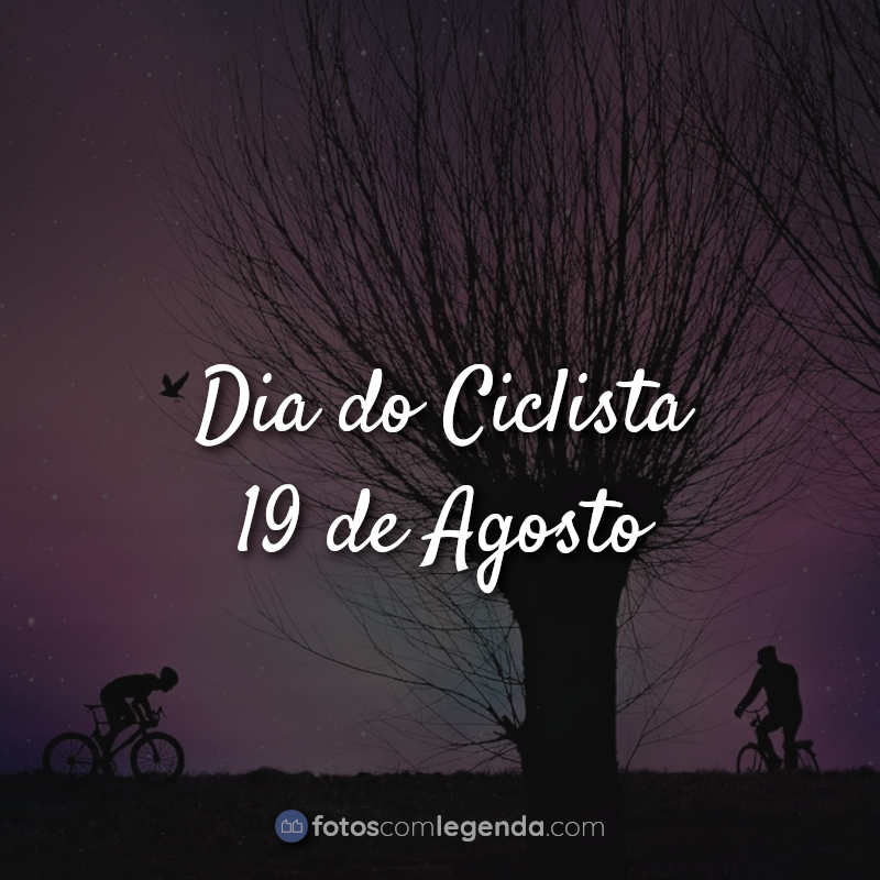 Frases para o Dia do Ciclista: Dia do Ciclista 19 de Agosto.