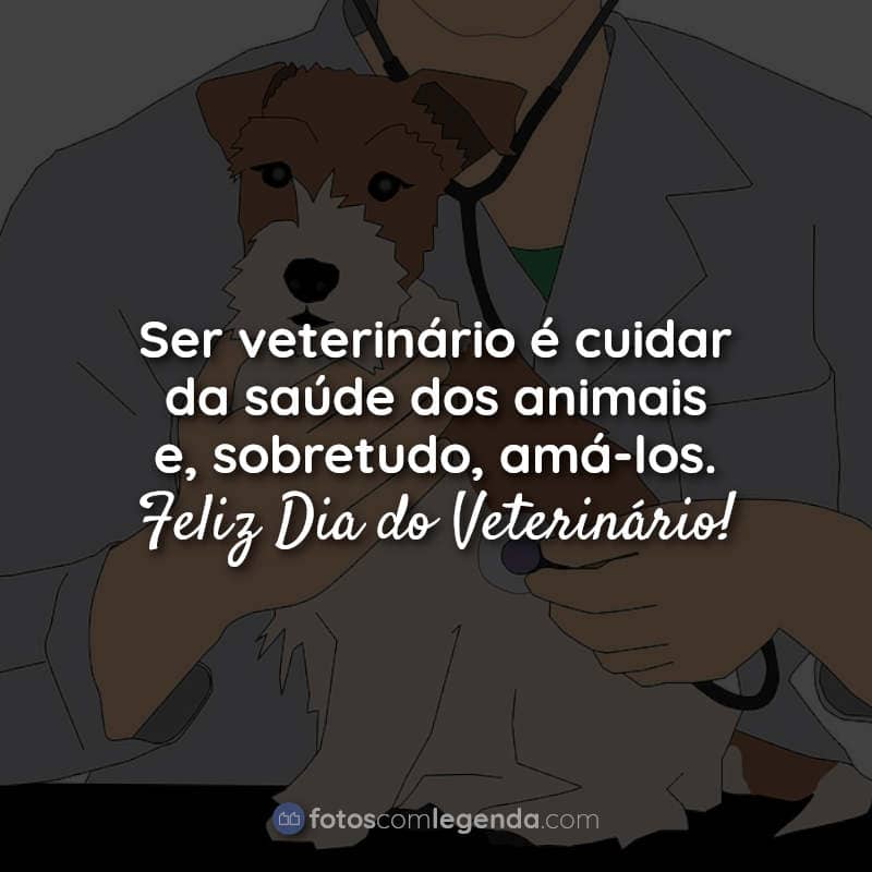 Frases do Dia do Veterinário: Ser veterinário é.