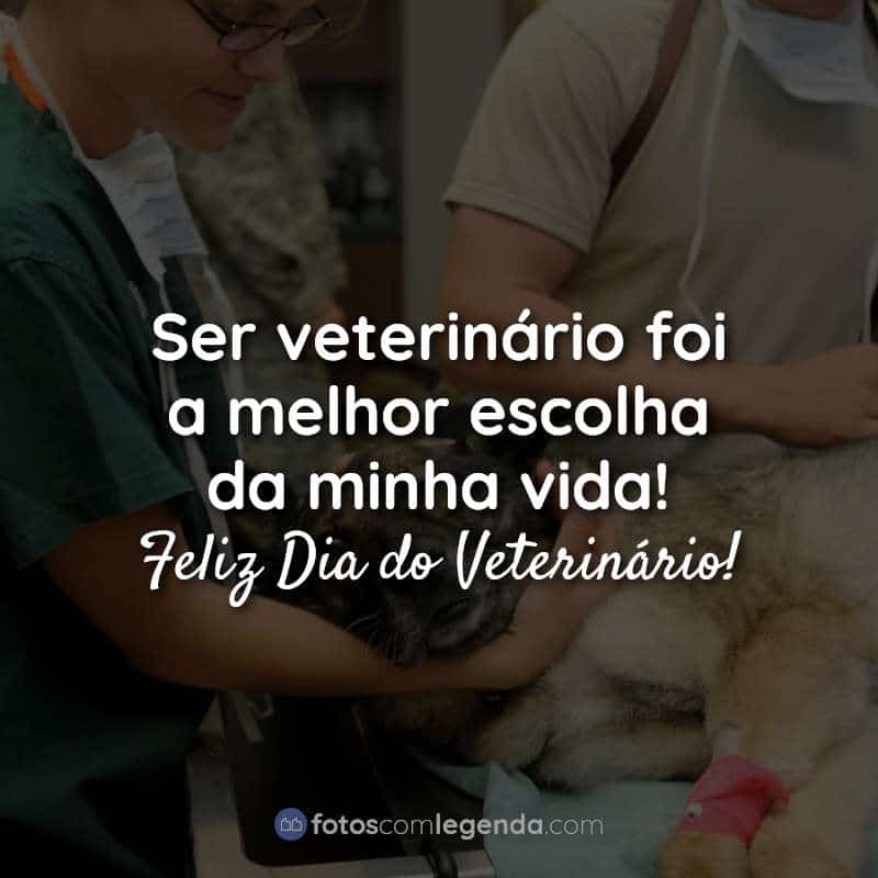 Frases de Dia do Veterinário: Ser veterinário.