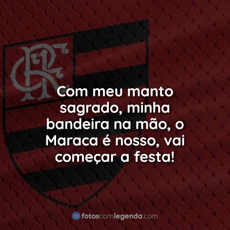 Flamengo Frases: Com meu manto.