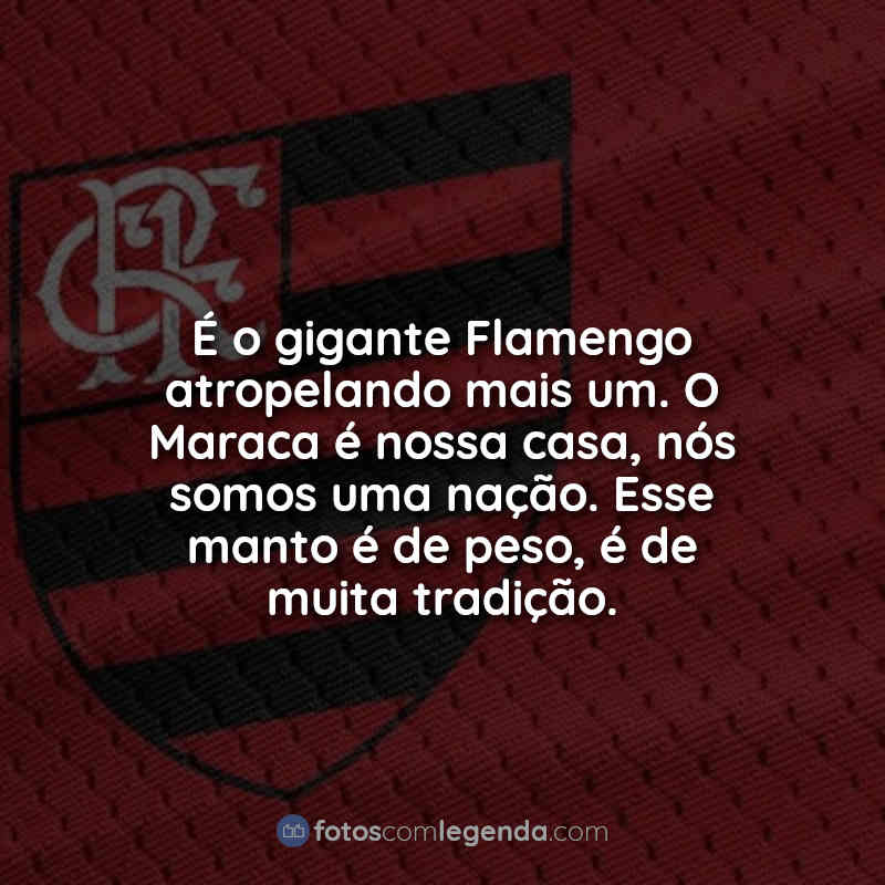 Flamengo Frases: É o gigante Flamengo.
