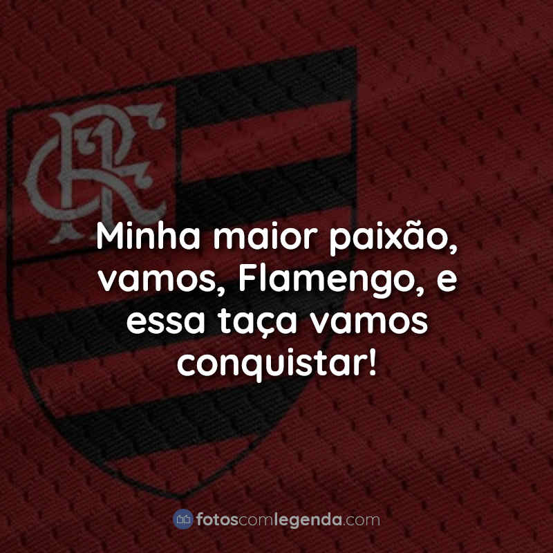 Frases do Flamengo: Minha maior paixão.