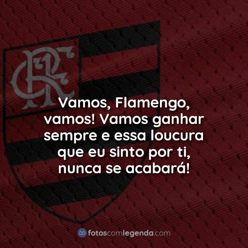 Frases do Flamengo: Vamos Flamengo.