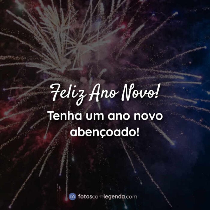 Frase: Feliz Ano Novo! Tenha um ano novo abençoado!