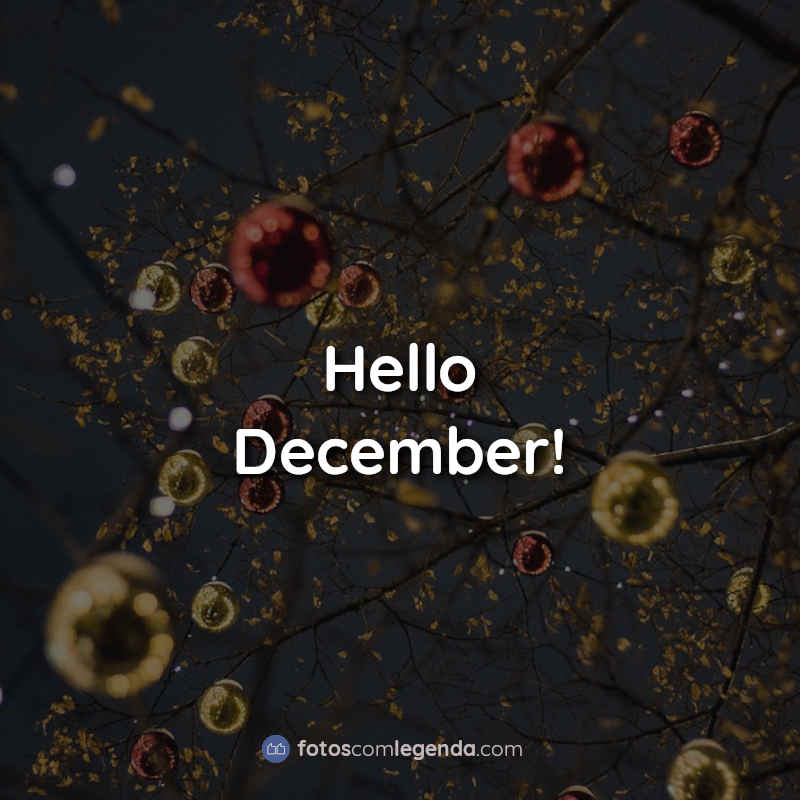 Frases Hello December!