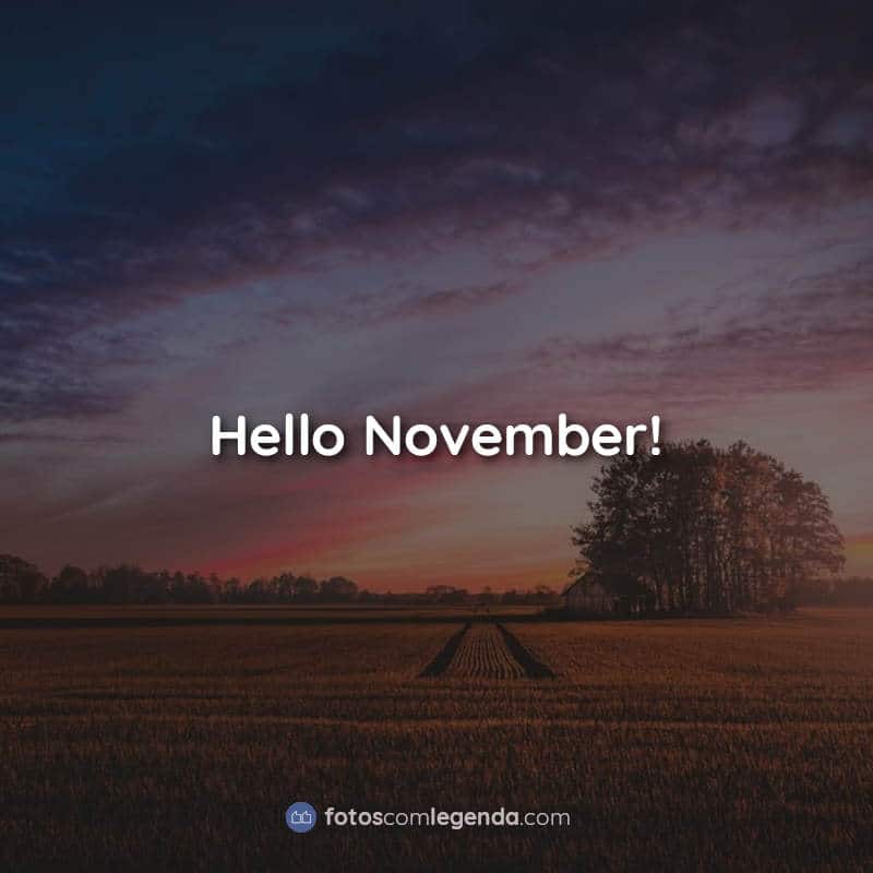 Frases Hello November!