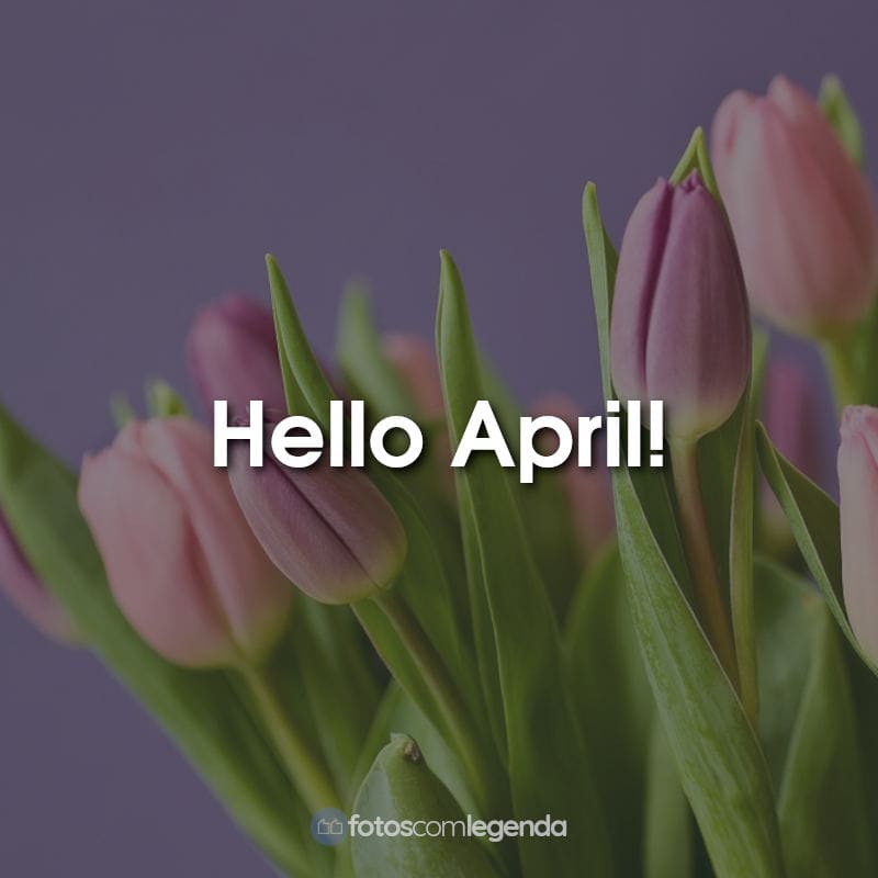 Hello April!