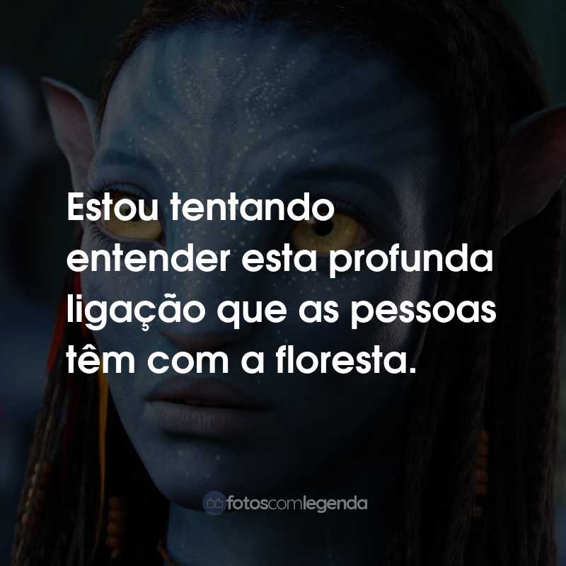 Frases do Filme Avatar: Estou tentando entender esta profunda ligação que as pessoas têm com a floresta.