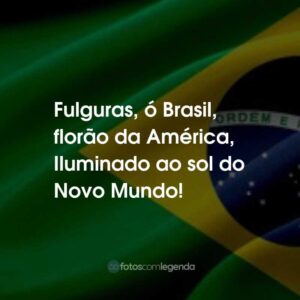 Fulguras, ó Brasil, florão da América, Iluminado ao sol do Novo Mundo!
