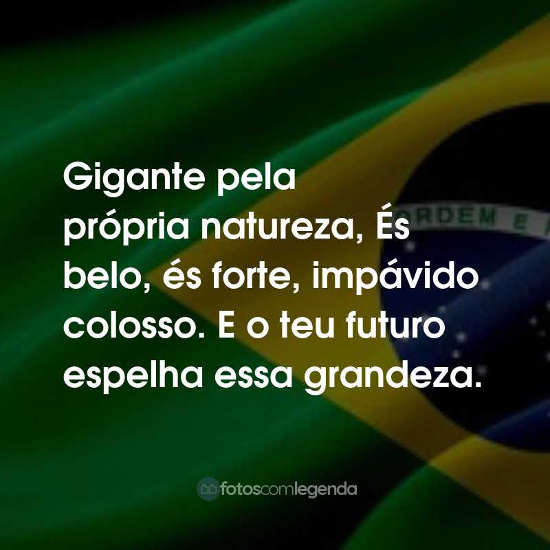 Frases para o Dia da Independência do Brasil: Gigante pela própria natureza, És belo, és forte, impávido colosso. E o teu futuro espelha essa grandeza.