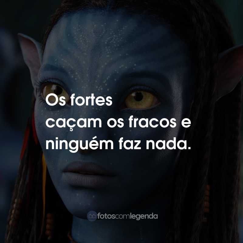 Frases do Filme Avatar: Os fortes caçam os fracos e ninguém faz nada.