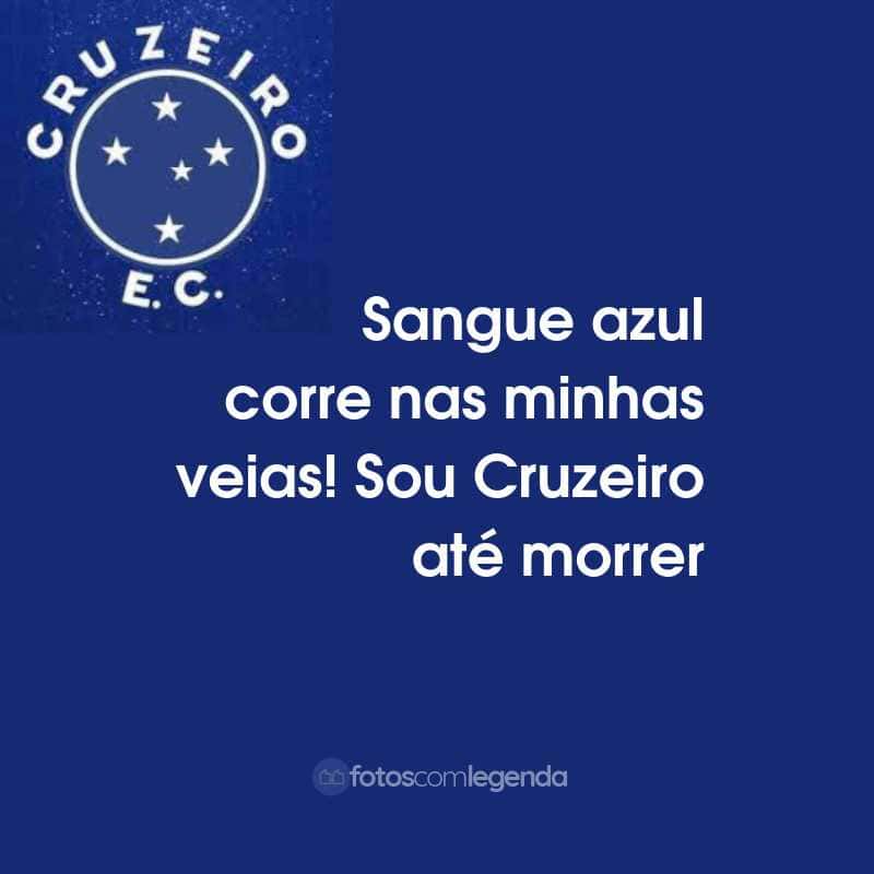 Frases do Cruzeiro Esporte Clube: Sangue azul corre nas minhas veias! Sou Cruzeiro até morrer.