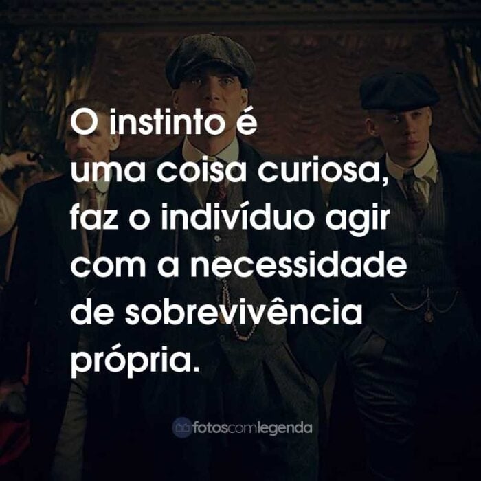 Frases da Série Peaky Blinders: O instinto é uma coisa curiosa, faz o indivíduo agir com a necessidade de sobrevivência própria.