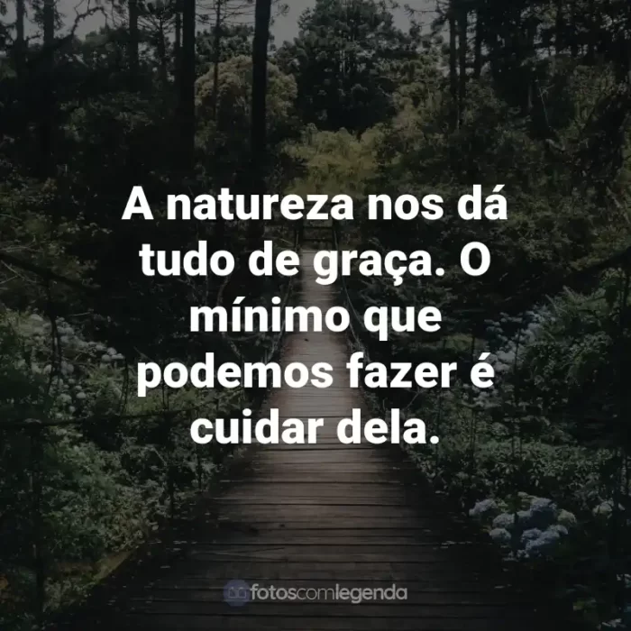 Frases para o Dia do Meio Ambiente: A natureza nos dá tudo de graça. O mínimo que podemos fazer é cuidar dela.