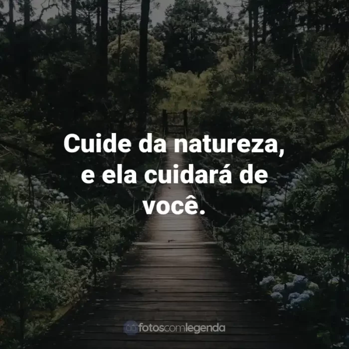 Frases para o Dia do Meio Ambiente: Cuide da natureza, e ela cuidará de você.