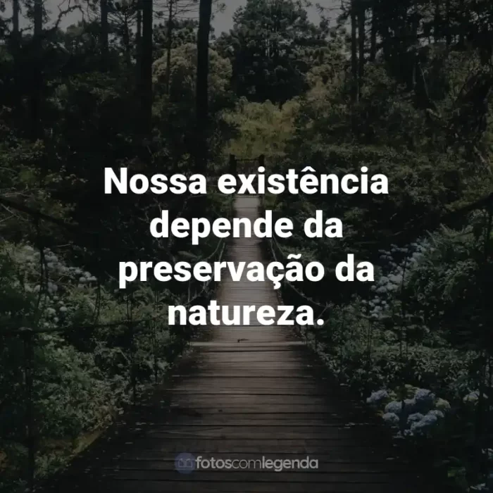 Frases para o Dia do Meio Ambiente: Nossa existência depende da preservação da natureza.