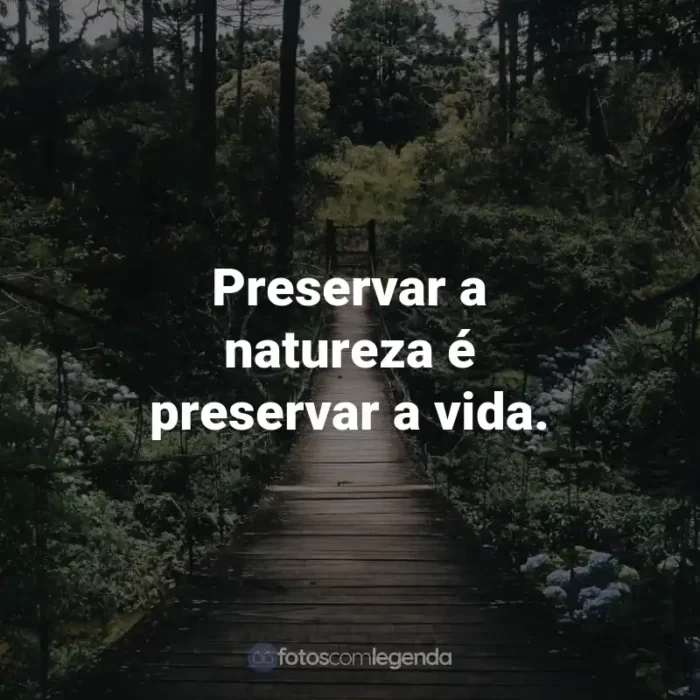 Frases para o Dia do Meio Ambiente: Preservar a natureza é preservar a vida.