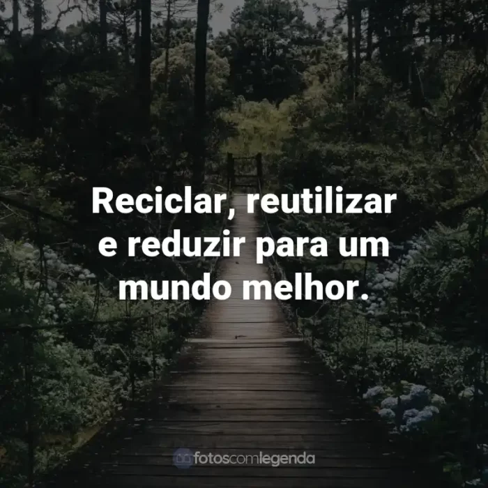 Frases para o Dia do Meio Ambiente: Reciclar, reutilizar e reduzir para um mundo melhor.