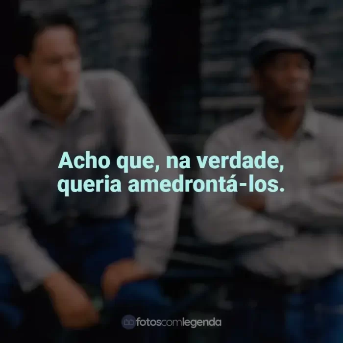 Frases Um Sonho de Liberdade filme: Acho que, na verdade, queria amedrontá-los.