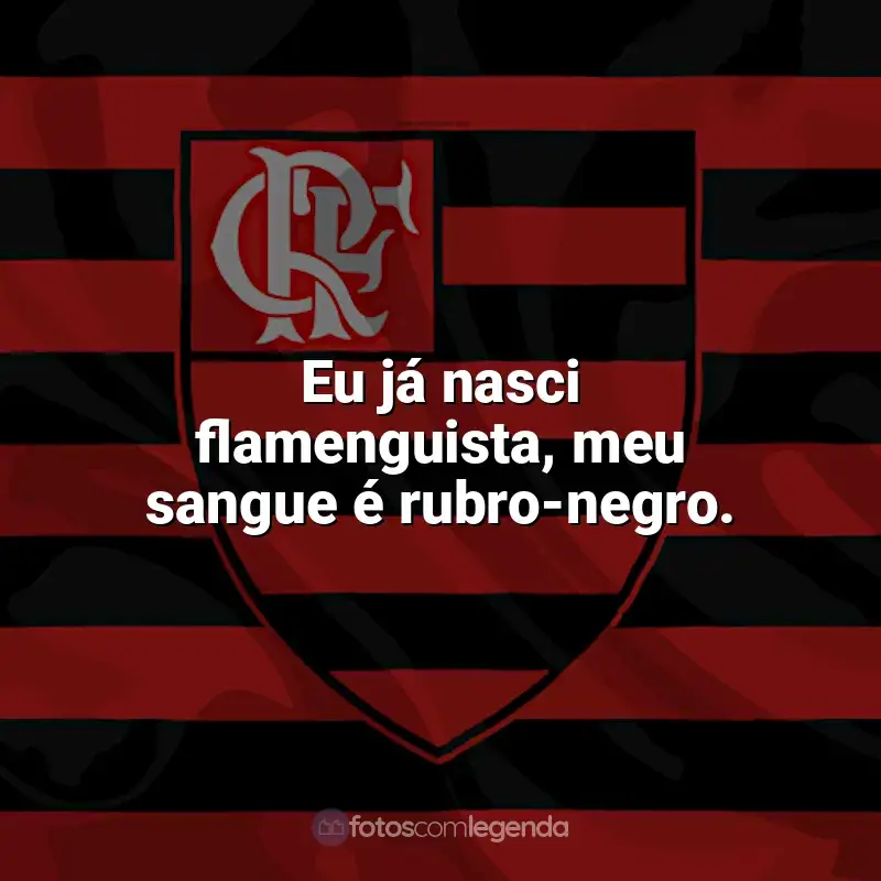 Frases da torcida do Flamengo: Eu já nasci flamenguista, meu sangue é rubro-negro.