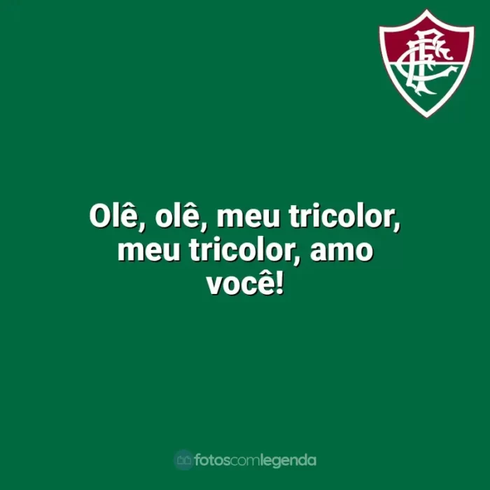 Frases da torcida do Fluminense: Olê, olê, meu tricolor, meu tricolor, amo você!