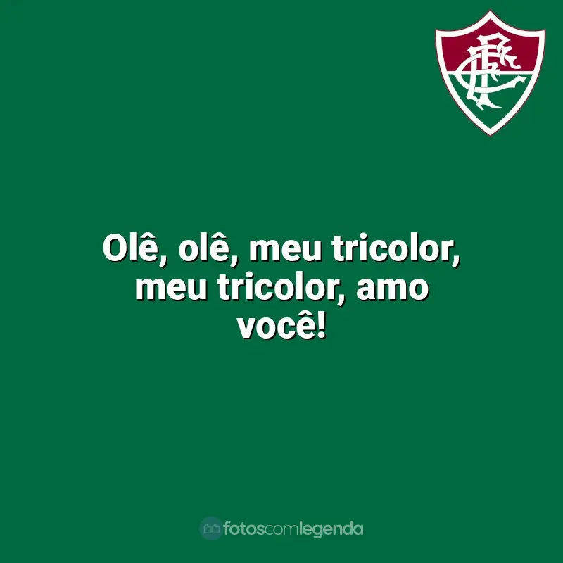Frases da torcida do Fluminense: Olê, olê, meu tricolor, meu tricolor, amo você!