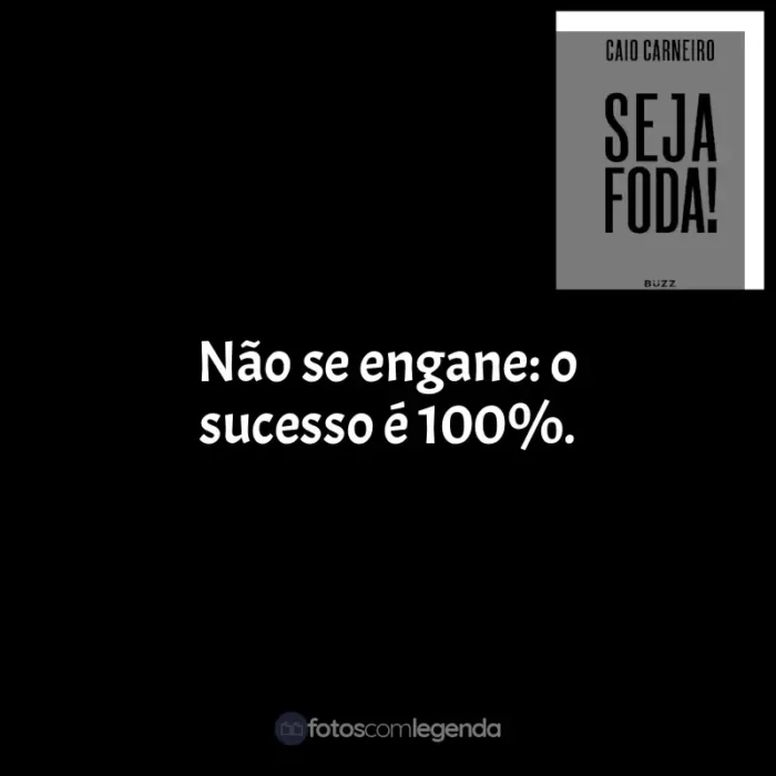 Seja Foda! frases do livro: Não se engane: o sucesso é 100%.